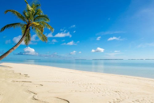 Islas Cocos: de paraíso a basural